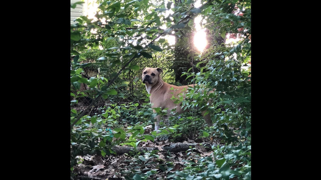 J57 - Against the Current Instrumental