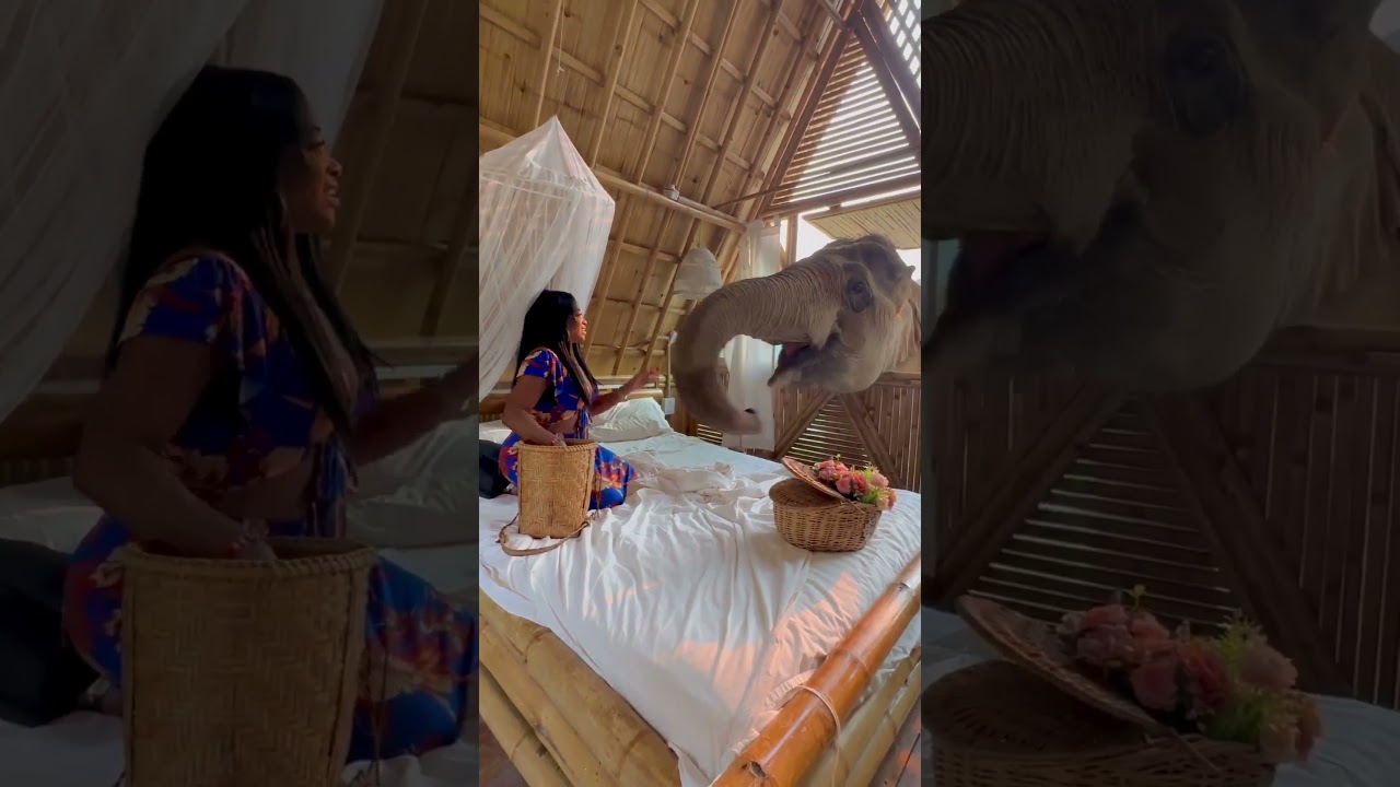 FOLLOW ME and interact with my posts! Let's explore the world together. Visit to 