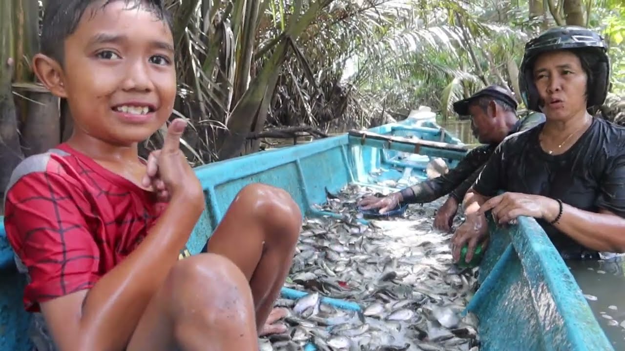 Ngeri!!?? ikanya loncat tinggi semua//ga nyangka panen ikan sebagor