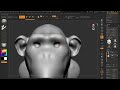 ZBrush for Beginners - 15 Sub Divisions Dynamesh