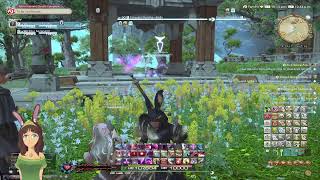 FFXIV Side Quest Bonanza!