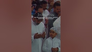 #ياسر_الدوسري، {ووصينا الانسان بوالديه احسانا}، #تلاوة_خاشعة، سورة الأحقاف 🤍🥹