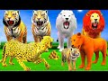 बाप निकला परिवार का दुश्मन और बाघ की माँ शेरनी  | Tiger&#39;s Mother Lioness | Lion &amp; Tiger Hindi Story.