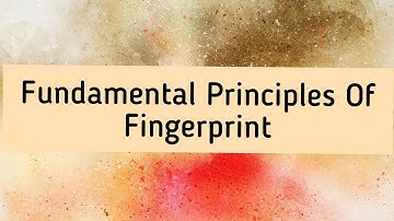 Fundamental Principles Of Fingerprints|| Forensic Science Lecture