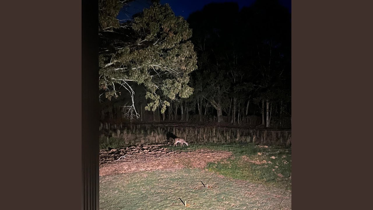 Trial 3, Subject 17, Ghavana Experiments