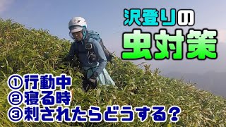 【沢登り】私たちがしている虫対策を紹介！