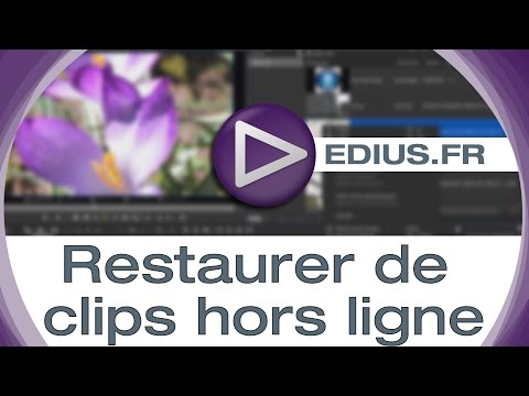 EDIUS.FR Podcast - Restaurer de clips hors ligne