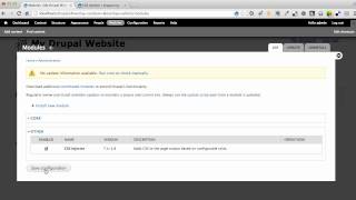 Using the CSS Injector Module to Style a Drupal Website