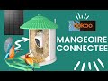 La mangeoire connecte dokoo dballage et installation