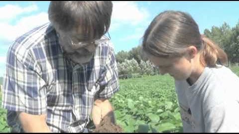 Soybean roots/Nodulation and Curse Buster
