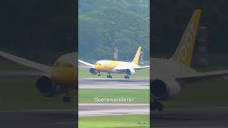SCOOT Boeing B787 landing at Singapore Changi Airport #shorts #scoot #b787 #landing #singapore