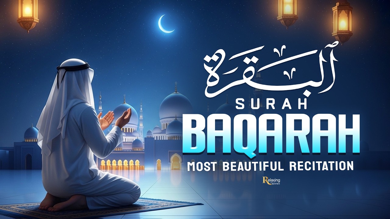 Surah Al Baqarah سورة البقره|Heart Touching Tilawat Spreading Love And Tranquility।Relaxing Verses