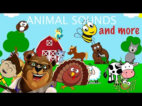 Animal Sounds More Nursery Rhymes And Songs For Kids