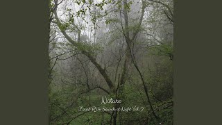 Melodic Rain Flow