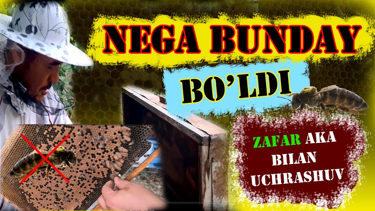 Nega bunday bo'ldi. Нега бундай бўлди