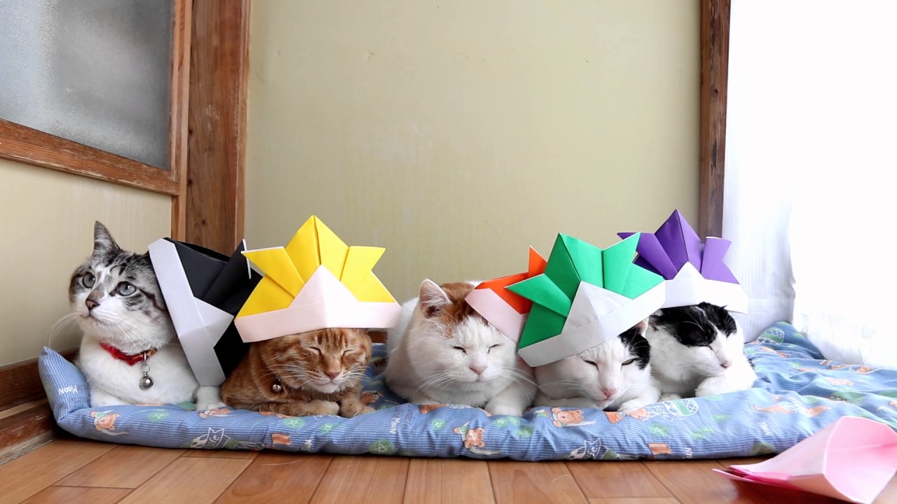 のせ猫 x 折り紙兜を被った6ひきの猫 Origami 