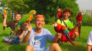 20170917埔頂公園