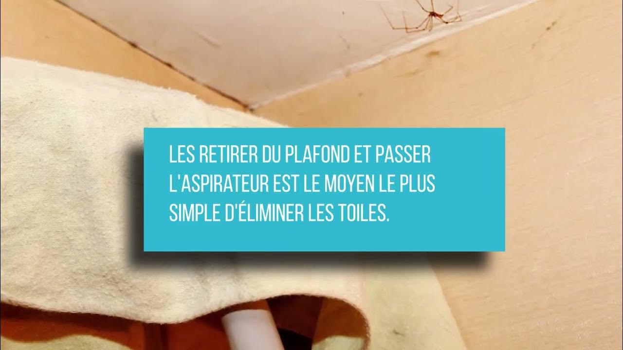 Comment enlever les toiles d