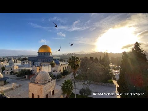 JERUSALEM by artist Eitan Asraf