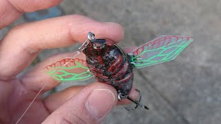 ハンドメイドルアー バス釣り Topwater セミ型クローラー プラスチック製羽 スイムテスト映像 Cicada Lure Creeper トップウォーター Youtube