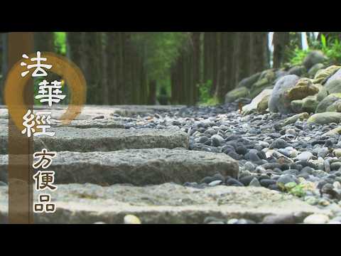 【靜思妙蓮華】法華經方便品第二 - 學佛精進度眾生 - 第203集｜共修版