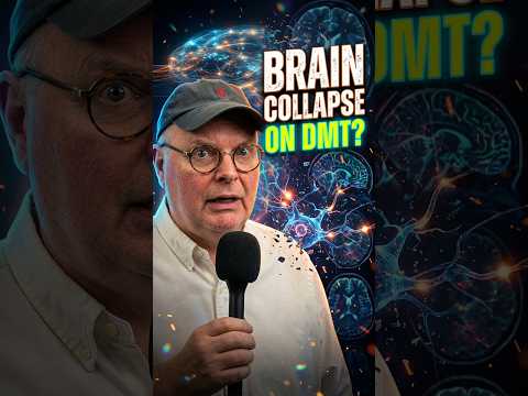 What Happens When Your Brain Networks Collapse on DMT? 🌀 #dmt #reality