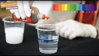 Chemistry Lesson | pH Indicator | Acid & Base Experiment | Science for Kids