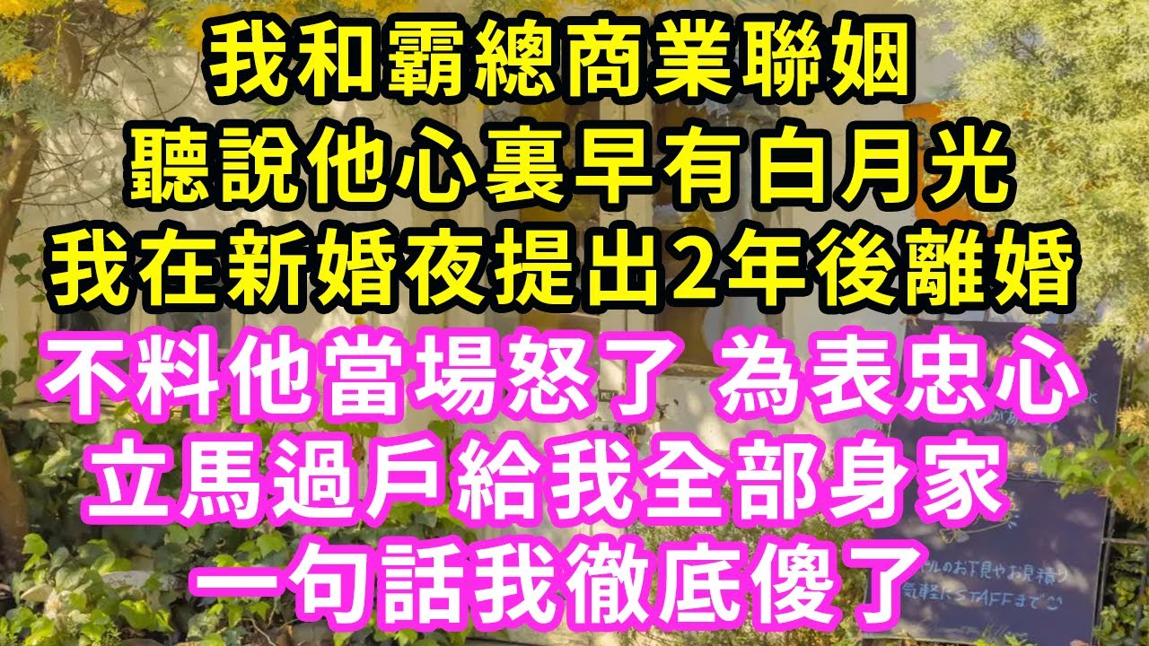 我和霸總商業聯姻，聽說他心裏早有白月光，我在新婚夜提出2年後離婚，不料他當場怒了 為表忠心，立馬過戶給我全部身家，一句話我徹底傻了#甜寵#灰姑娘#霸道總裁#愛情#婚姻#小嫻說故事#暖風故事匯