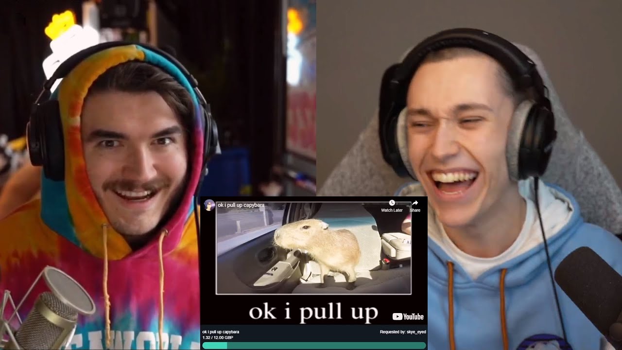 If Me or Schlatt Laugh, The Stream Ends...