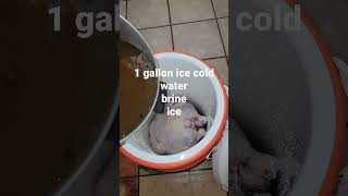 Famous how to brine a 15 pound turkey. Wealth