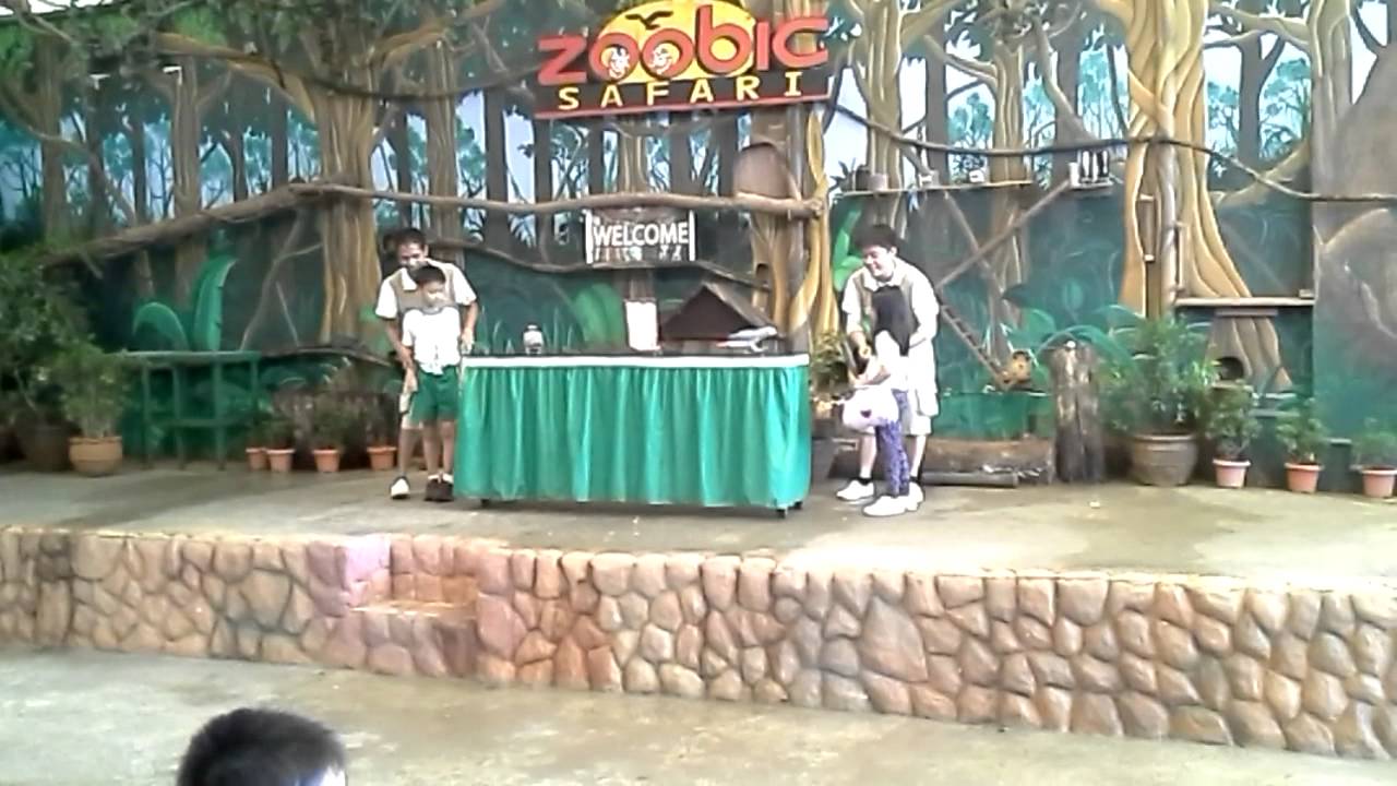 zoobic safari animal show