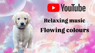 Relaxing Colors and Patterns for Dogs | Calming Music for Anxiety Relief