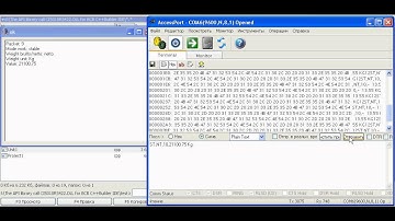 Example library call weighing terminal CI5010RS422.DLL in C++Builder