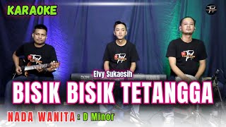 BISIK BISIK TETANGGA KARAOKE ( NADA WANITA )