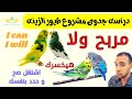 دراسه جدوى مشروع تربيه طيور الزينه هل تربيه طيور الزينه مربحه 