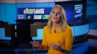 NBC2 - Allyson Rae - What to Expect