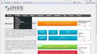 End User mode Liferay configuration and registration