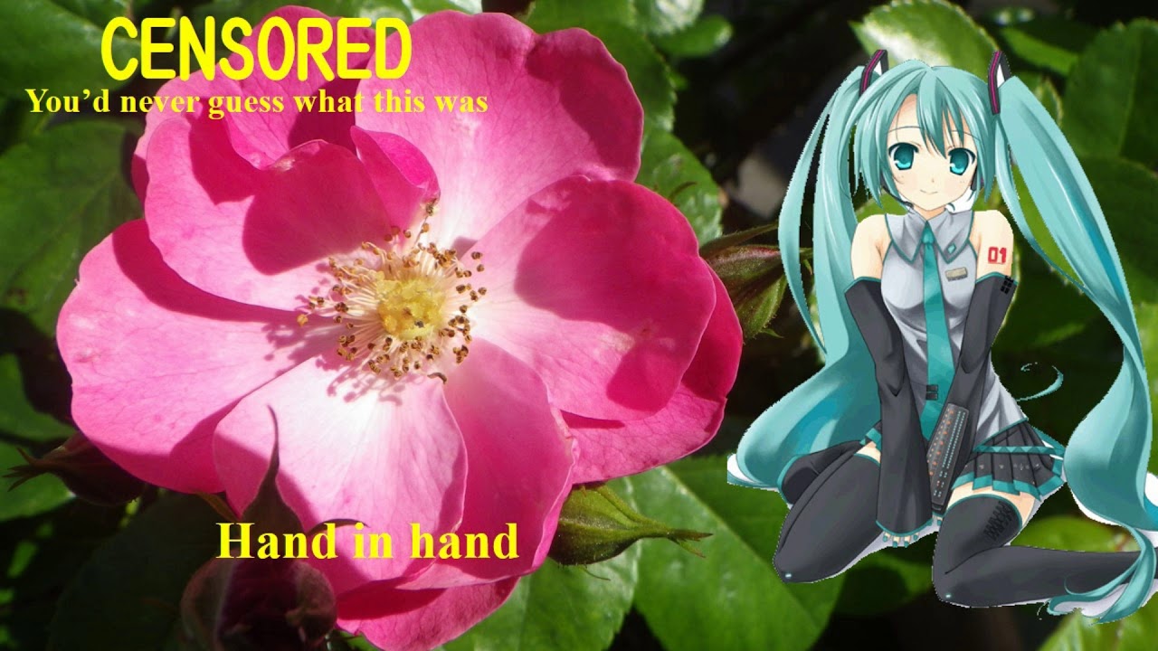 Hand In Hand Vocaloid 【Hatsune Miku】この手をつないで 1968; Hand in hand【Vocaloid 5】初音ミク - YouTube
