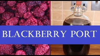 Making Blackberry Port (Fortified Wine)