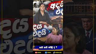 අරගලයෙදි ගුටි කෑව කට්ටිය