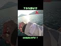 広島湾・牡蠣筏でフカセ釣り、この引きは！ #牡蠣 #フカセ釣り #広島