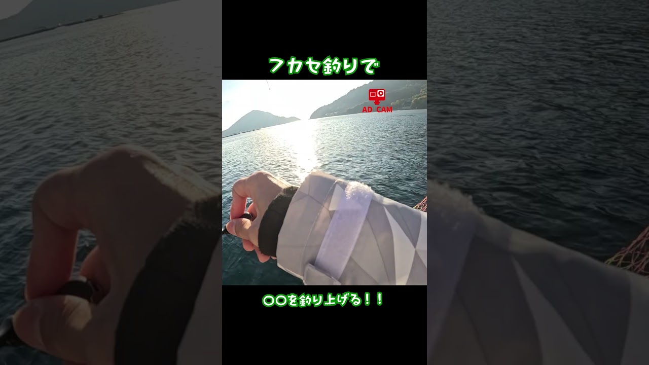 広島湾・牡蠣筏でフカセ釣り、この引きは！ #牡蠣 #フカセ釣り #広島