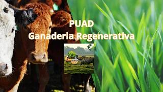 UHDP | Ultra-High Density Grazing