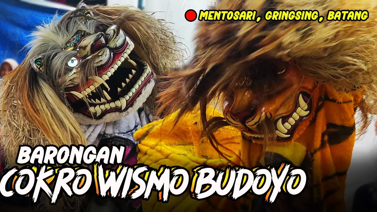 Barongan CWB Cokro Wismo Budoyo Live Mentosari Gringsing 4 Januari 2025