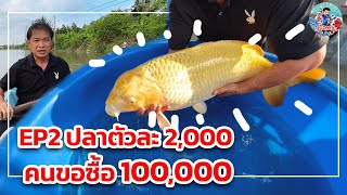 EP2 ปลาตัวละ2,000 คนขอซื้อ100,000 บาท