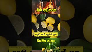 උදෑසන හිස්බඩ මේ දේ කළොත් ඔබේ ඇඟේ තෙල් දියවෙන වේගය 3X වෙනවා | The 3X Fat Loss Secret