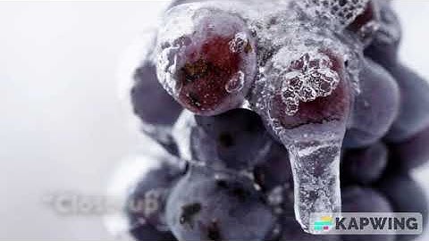 Close-Up of a Grape V1 | Satisfying Macro Fruit Aesthetic