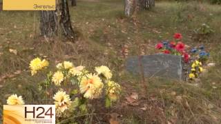 В Энгельсском лесу нашли кладбище домашних животных В Энгельсском лесу нашли кладбище домашних животных