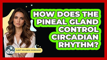 How Does The Pineal Gland Control Circadian Rhythm? - Sleep Wellness Workshop