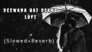 Deewana Hai Dekho Bekarar Wo | LoFi Mix | Hrithik Roshan | Alka Yagnik | Sonu Nigam | LoFi ANRN |